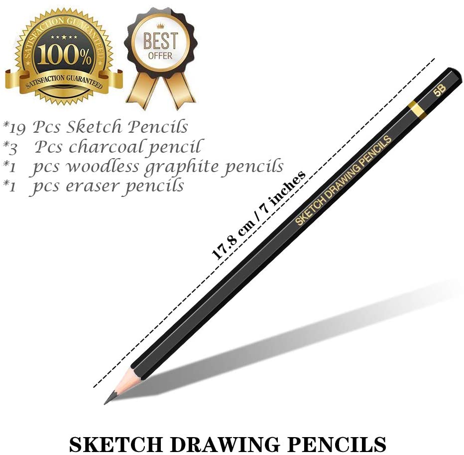 Juego de lápices de dibujo profesional de 14 piezas