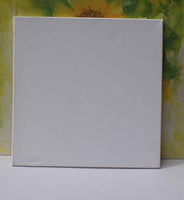 Juego de 6 lienzos en blanco con doble imprimación preestirados para pintura acrílica al óleo - Arteztik
