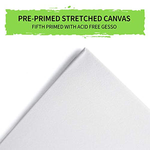 Lienzo preestirado para pintar, 11 x 14, 8 x 10, 5 x 7, multipack de lienzos, tableros de lienzo, pintura acrílica al óleo, algodón imprimado con Gesso blanco, paquete de 9 unidades - Arteztik