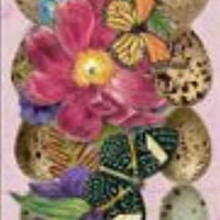 K & Company Brenda Walton – Flora y Fauna calcomanía Fronteras - Arteztik