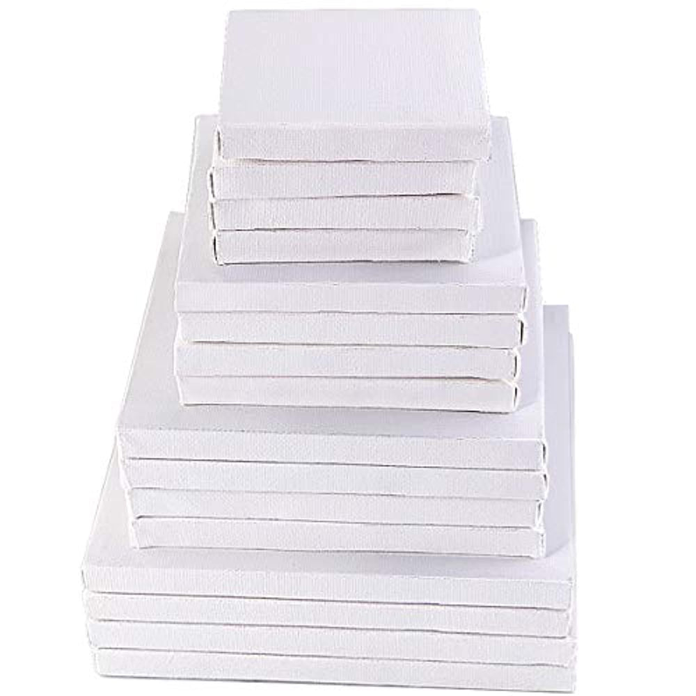 Pralb - Juego de 16 paneles de lienzo de 4 tamaños para pintura de arte (3 pulgadas/4 pulgadas/5 pulgadas/6 pulgadas/4 de cada uno) - Arteztik