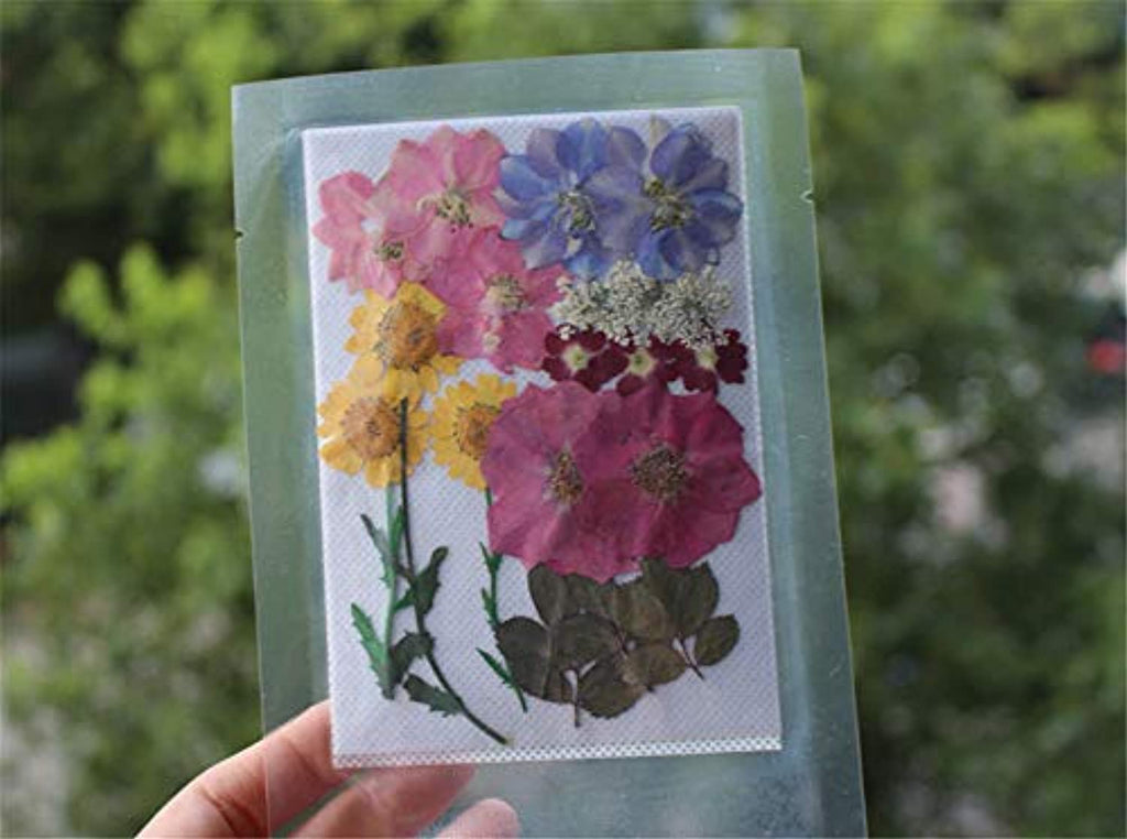  DALARAN Paquete de 6 flores prensadas para hacer velas, flores  secas, múltiples flores naturales prensadas coloridas flores secas  decorativas : Arte y Manualidades