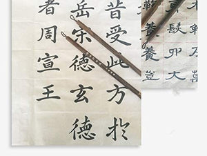 Shanlian Hubi - Juego de pinceles de caligrafía china para principiantes - Arteztik