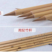 Tianjintang - Juego de 5 pinceles de pintura para caligrafía china japonesa Kanji Sumi - Arteztik