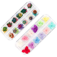 Long TAO 2 cajas de flores secas mini flores y hojas naturales secas naturales reales y secas flores naturales naturales naturales Kit de decoración de apliques calcomanía para joyería colgante pulsera álbumes de recortes, manualidades, tarjetas de bricol - Arteztik
