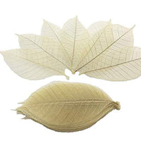 WASUWAN SHOP - 100 hojas de esqueleto de goma natural para álbumes de recortes, manualidades y manualidades, diseño de árbol de recortes - Arteztik