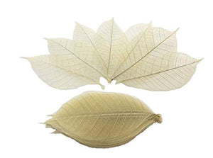 WASUWAN SHOP - 100 hojas de esqueleto de goma natural para álbumes de recortes, manualidades y manualidades, diseño de árbol de recortes - Arteztik