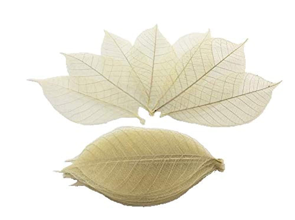 WASUWAN SHOP - 100 hojas de esqueleto de goma natural para álbumes de recortes, manualidades y manualidades, diseño de árbol de recortes - Arteztik