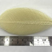 WASUWAN SHOP - 100 hojas de esqueleto de goma natural para álbumes de recortes, manualidades y manualidades, diseño de árbol de recortes - Arteztik