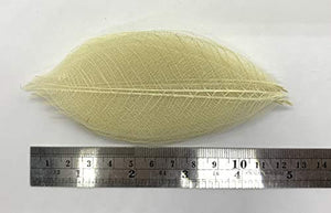 WASUWAN SHOP - 100 hojas de esqueleto de goma natural para álbumes de recortes, manualidades y manualidades, diseño de árbol de recortes - Arteztik