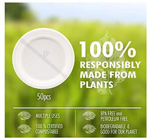 Platos compostables, base vegetal, 9 pulgadas (500, 9 pulgadas) - Arteztik