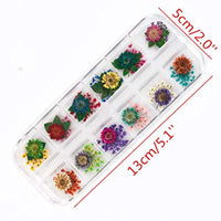 Long TAO 2 cajas de flores secas mini flores y hojas naturales secas naturales reales y secas flores naturales naturales naturales Kit de decoración de apliques calcomanía para joyería colgante pulsera álbumes de recortes, manualidades, tarjetas de bricol - Arteztik
