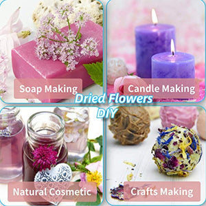 LVOPO – Juego de flores secas naturales para baño, fabricación de jabón, fabricación de velas, 9 bolsas incluyen lavanda seca, pétalos de rosa, flor de jazmín y más - Arteztik