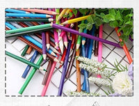 BicycleStore Juego de 36 lápices de colores profesionales de madera, juego de lápices para colorear con sacapuntas de lona para niños, adultos, bocetos, arte, libros para colorear - Arteztik
