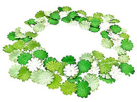 Nava Chiangmai 100 pcs Daisy pétalos de flores de papel Mulberry Artificial manualidades adornos para álbumes de recortes, suministro de boda accesorio Diy, varios colores pétalos de flores - Arteztik
