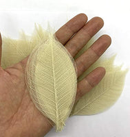 WASUWAN SHOP - 100 hojas de esqueleto de goma natural para álbumes de recortes, manualidades y manualidades, diseño de árbol de recortes - Arteztik
