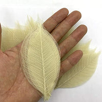 WASUWAN SHOP - 100 hojas de esqueleto de goma natural para álbumes de recortes, manualidades y manualidades, diseño de árbol de recortes - Arteztik
