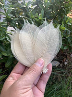 WASUWAN SHOP - 100 hojas de esqueleto de goma natural para álbumes de recortes, manualidades y manualidades, diseño de árbol de recortes - Arteztik
