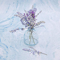 AUEAR, 16 piezas flores secas reales de salvia, flores secas naturales, flores prensadas para álbumes de recortes, adornos - Arteztik
