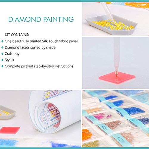 Comprar Kits de pintura de diamante 5D para adultos, niña DIY taladro  completo con diamantes de imitación de cristal, pinturas artísticas con  diamantes para decoración de pared del hogar
