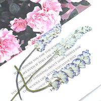 Monrocco 16 piezas de flores auténticas secas salvia flores prensadas flor recortes adornos para hacer joyas accesorios - Arteztik
