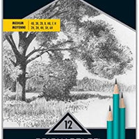 Prismacolor 24192 Premier - Lápices de dibujo (grafito de color turquesa, 12 unidades) - Arteztik