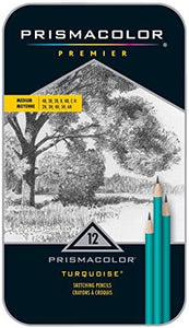 Prismacolor 24192 Premier - Lápices de dibujo (grafito de color turquesa, 12 unidades) - Arteztik