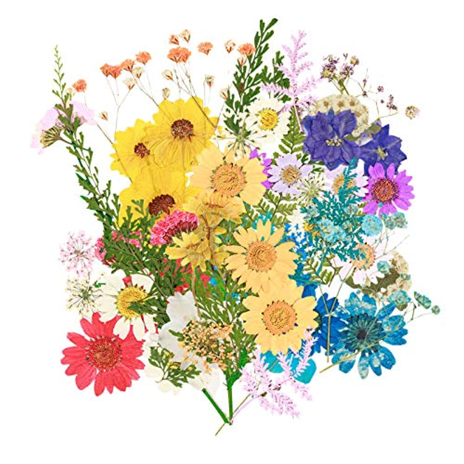 Olerqzer - Juego de 80 flores secas para resina, diseño de flores