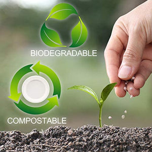 Platos compostables, base vegetal, 9 pulgadas (500, 9 pulgadas) - Arteztik