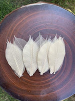 WASUWAN SHOP - 100 hojas de esqueleto de goma natural para álbumes de recortes, manualidades y manualidades, diseño de árbol de recortes - Arteztik

