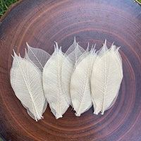 WASUWAN SHOP - 100 hojas de esqueleto de goma natural para álbumes de recortes, manualidades y manualidades, diseño de árbol de recortes - Arteztik