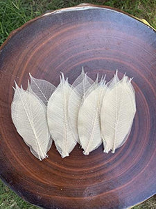 WASUWAN SHOP - 100 hojas de esqueleto de goma natural para álbumes de recortes, manualidades y manualidades, diseño de árbol de recortes - Arteztik