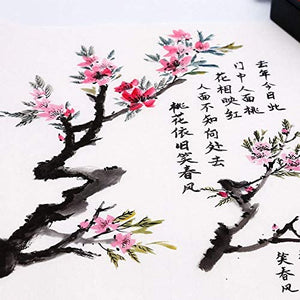 Artecho - Brochas chinas para caligrafía para regalo, caligrafía Sumi, cepillos chinos 3 tamaños para principiantes - Arteztik