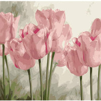 Números de pintura para adultos y niños, pintura de tulipanes por números, pintura acrílica por números, kit de pintura para el hogar, pared, salón, dormitorio, decoración, tulipanes rosas - Arteztik