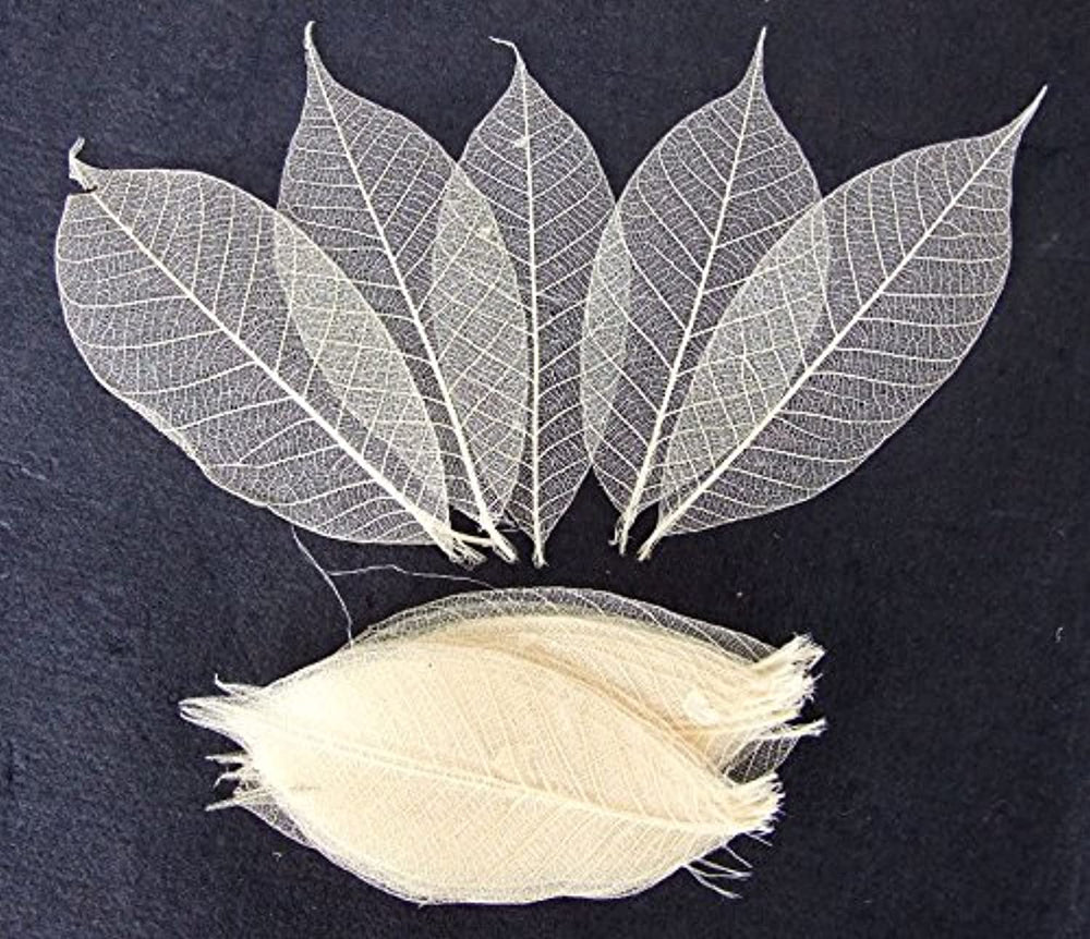 100 pcs. Esqueleto tarjeta de hule natural Hojas Artificial hojas Craft Scrapbook bricolaje hecho a mano adornos decoración arte - Arteztik