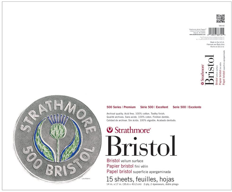 Strathmore 580-82 500 Series Bristol, superficie de vellum de 2 capas, encuadernación con cinta de 14 x 17 pulgadas, 15 hojas - Arteztik