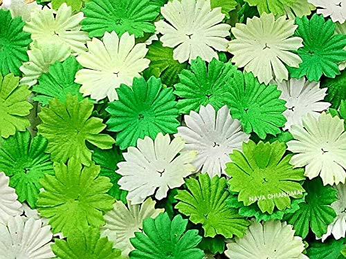 Nava Chiangmai 100 pcs Daisy pétalos de flores de papel Mulberry Artificial manualidades adornos para álbumes de recortes, suministro de boda accesorio Diy, varios colores pétalos de flores - Arteztik