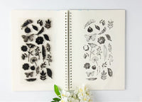 hyamass Pack de 6 hojas mezcla Estilo Flores Y Mariposas Claro Sello de hule para hacer tarjetas decoración y scrapbooking - Arteztik
