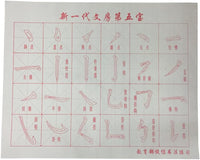 Magic Rewritable Agua cepillo para polvo chino caligrafía japonesa de texto paño de tela con gamuza de rack y el Plato de agua de secado rápido tela papel para principiantes práctica Set (5 artículos) - Arteztik
