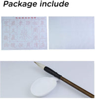 Juego de pinceles para caligrafía china, regrabable, tela con cepillo para principiantes - Arteztik
