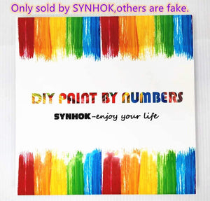 Pintura al óleo por números para adultos y niños, kit de pintura por números de SYNHOK, pintura acrílica con lienzo de 16.0 x 20.0 in para principiantes (calle de nieve) - Arteztik