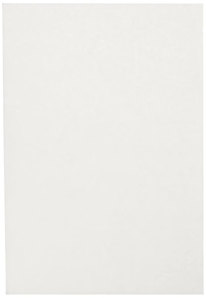 Sax Papel de dibujo – 70 Libra – 12 x 18 inches – 500 unidades), color blanco - Arteztik