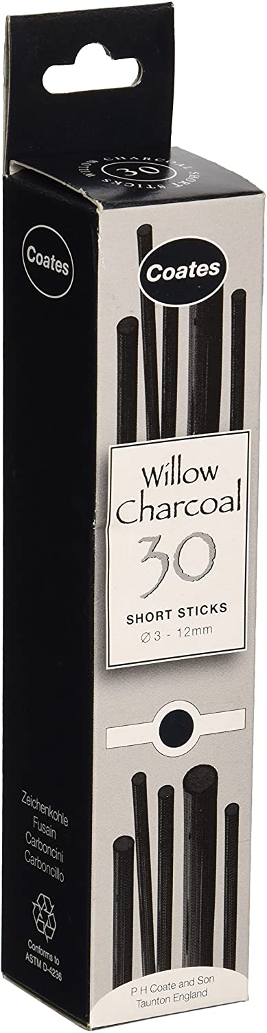 Global Art Materials carbonilla de sauce para artistas, Negro, Assorted - Arteztik