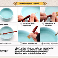 Escritura China cepillo para polvo Conjunto 10 Brochas para principiantes - Arteztik