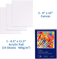 COOL BANK Acrylic Paint Set, 46 Piece Professional Painting Supplies Set, Includes 24 Acrylic Paints, 12 Painting Brushes, Canvas, Palette, Acrylic Painting Pad, for Artists,Students and Kids - Arteztik
