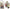 JOMOYEEH - 60 pegatinas de flores de ventage, paquete de pegatinas washi doradas para agenda, diario, álbum de recortes, decoración para portátil (8.26 x 3.93 pulgadas) - Arteztik