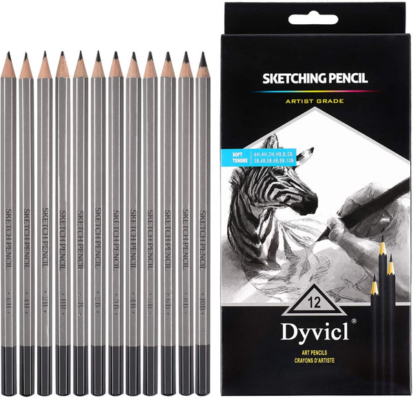 Juego de lápices de dibujo profesional, 12 lápices de dibujo 10B, 8B, 6B, 5B, 4B, 3B, 2B, B, B, HB, 2H, 4H, 6H, lápices de grafito para principiantes y profesionales - Arteztik