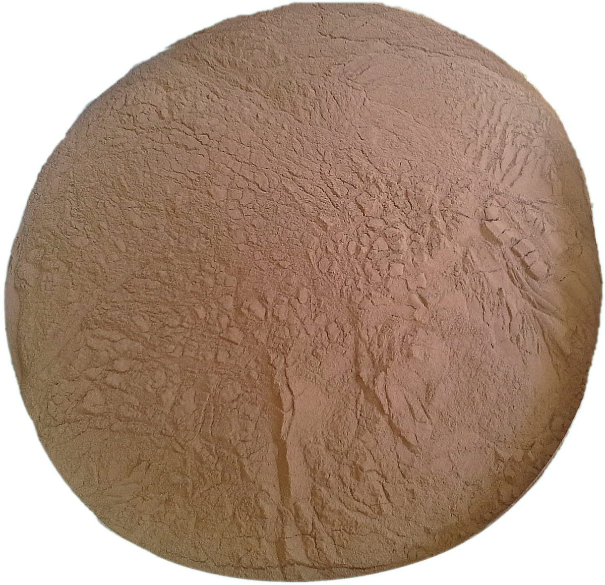 Polvo de bronce 325-mesh 1Lb | Arteztik