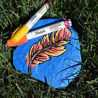 Sharpie 37371PP - Rotuladores a base de aceite, punta fina, varios colores, 1 blíster con 5 rotuladores, total de 5 rotuladores - Arteztik