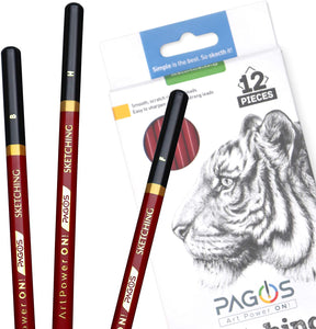 Pagos - Juego de lápices de dibujo profesional de grafito para dibujo, 12 piezas, 2H, H, F, HB, B, 2B, 3B, 4B, 5B, 6B, 7B, 8B Art Travel Set – Lápices de sombra, suministros de dibujo, conjunto de bocetos - Arteztik